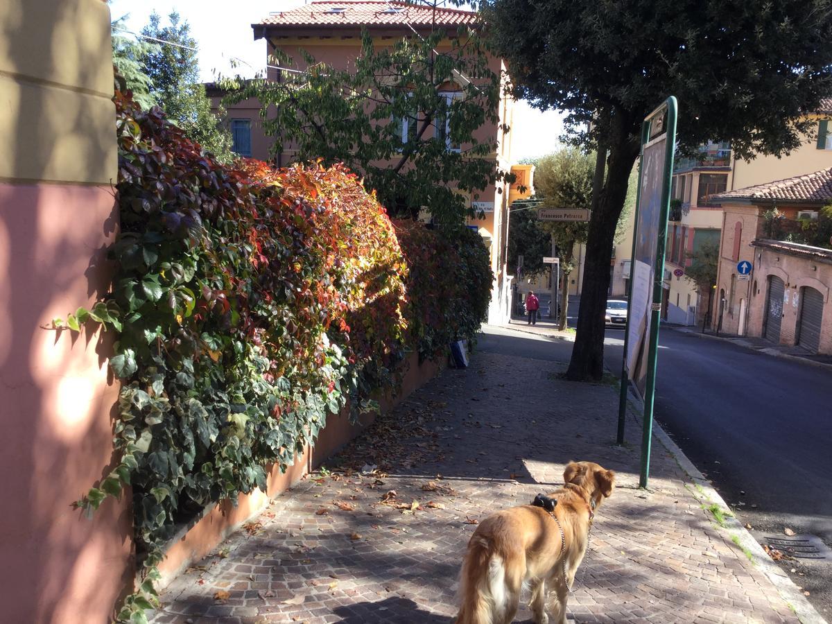 B&B La Castagnina Bologna Exteriör bild